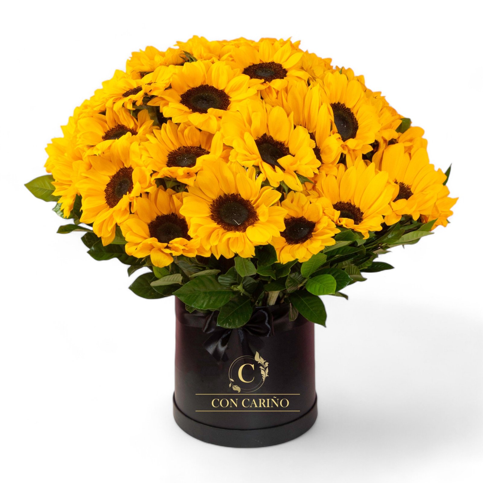 Explosión de Girasoles